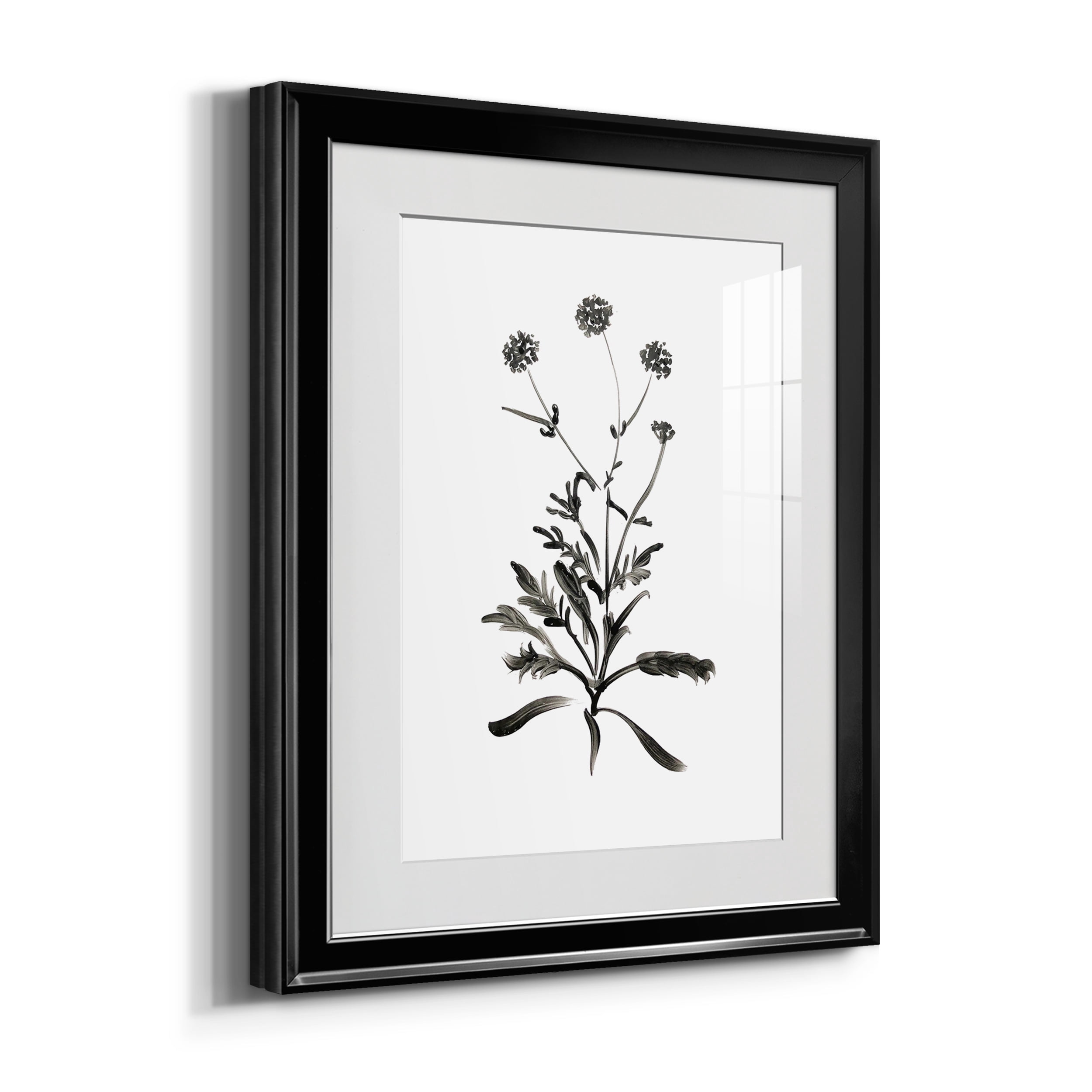 Inky Botanical I Premium Framed Prints Set of 3 - Ready to Hang - 22 x 30 Each - Black Frame