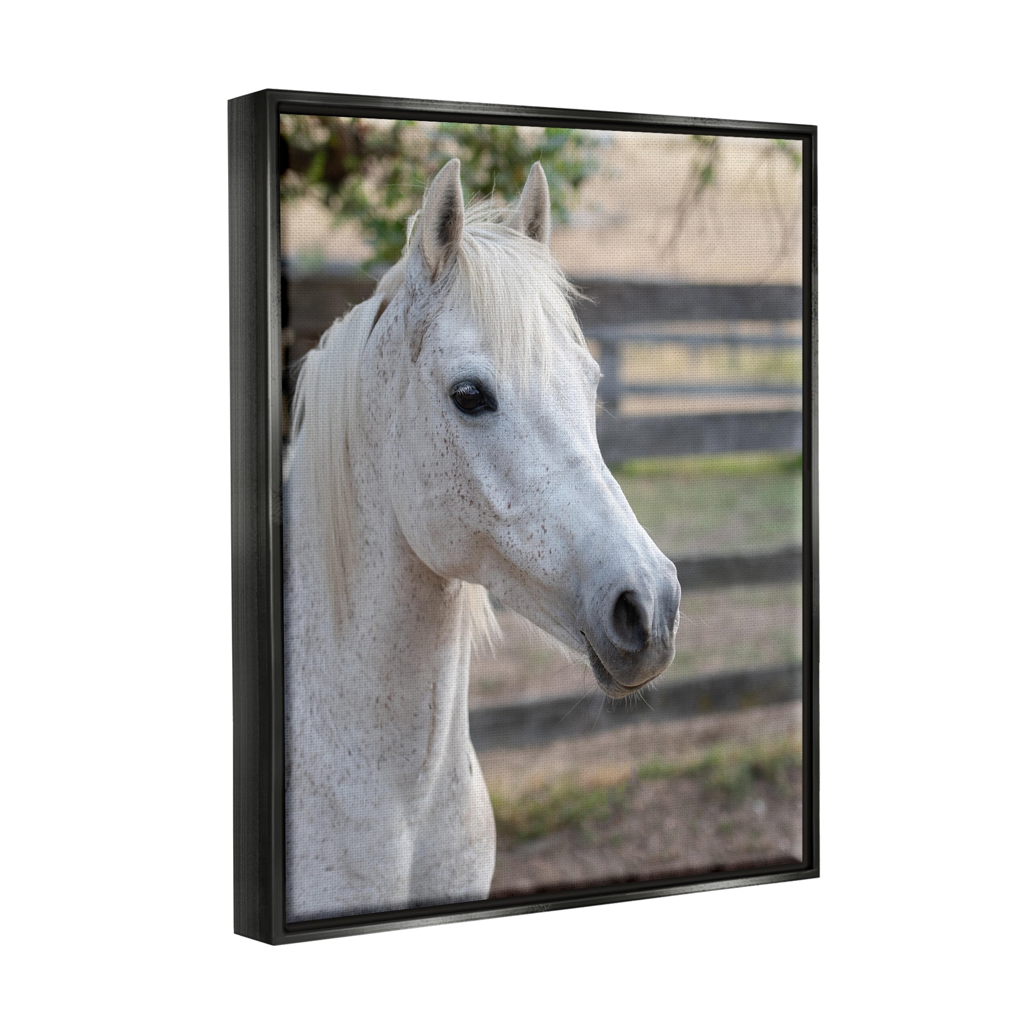 Stupell Industries Elegant White Spotted Horse Rural Country Farm Photograph Luster Gray Floating Framed Canvas Print Wall Art, Design by Daphne Polselli