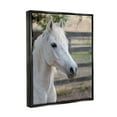 thumbnail image 4 of Stupell Industries Elegant White Spotted Horse Rural Country Farm Photograph Luster Gray Floating Framed Canvas Print Wall Art, Design by Daphne Polselli, 4 of 5