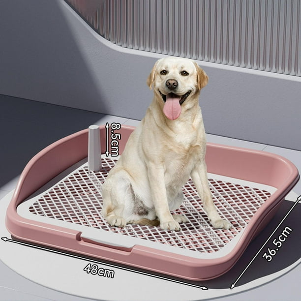 Pipican Para Perros En Casa Bandeja Para Orinal De Perros Machos