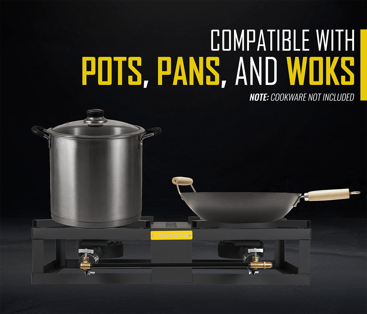 Concord 2 Burner Propane Camping Stove