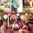 thumbnail image 3 of 9 Piezas / Set Pompones de Papel Seda Mezclados Flor DecoracióN Fiesta Boda (Rosa), 3 of 5