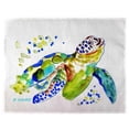 thumbnail image 1 of Tapis de Table Tortue de Mer pour Bébé 14 x 18 Po - Ensemble de 4, 1 of 1