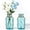 Aqua Blue-2, variant on Aqua Blue 2-pack Glass Vase Boho Rope Nautical Decor