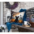 thumbnail image 4 of Affenpinscher Spooky Halloween Fabric Decorative Pillow 18 in x 18 in, 4 of 5