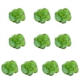thumbnail image 2 of 10 piezas de suculentas falsas Advancent PVC plantas simuladas accesorios de fotos realistas, 2 of 6