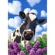 thumbnail image 1 of Taladro diamante pintura (DE4009) 5D DIY completo vaca bordado mosaico artesanía Kits decoración 50x70cm Hugtrwg Para estrenar, 1 of 1