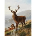 thumbnail image 2 of Carl Friedrich Deiker 12x14 Gold Ornate Wood Frame and Double Matted Museum Art Print Titled - The Capital Deer, 2 of 4