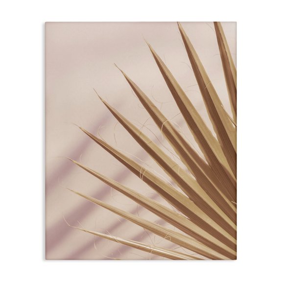 Stupell Industries Contemporary Palm Frond Photograph Expressive Tropical Plant Sun Bleached Canvas Art, 16 x 20, by Ian Winstanley