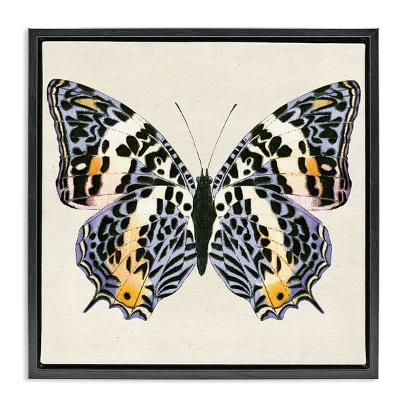 Stupell Industries Cottage Speckled Butterfly Sketch Black Floating Frame Canvas Art, 18 x 18, by Susan Arnot
