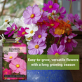 thumbnail image 5 of Sensation Mix Cosmos Seeds - Non GMO Heirloom Varieties for your Flower Garden - 4 Pack, 5 of 5