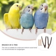 thumbnail image 4 of Shisuyan Parrot Perch Stand Natural Wood Parrot Perch Assorted Color 4Pcs 3.9X0.8X0.8in, 4 of 9