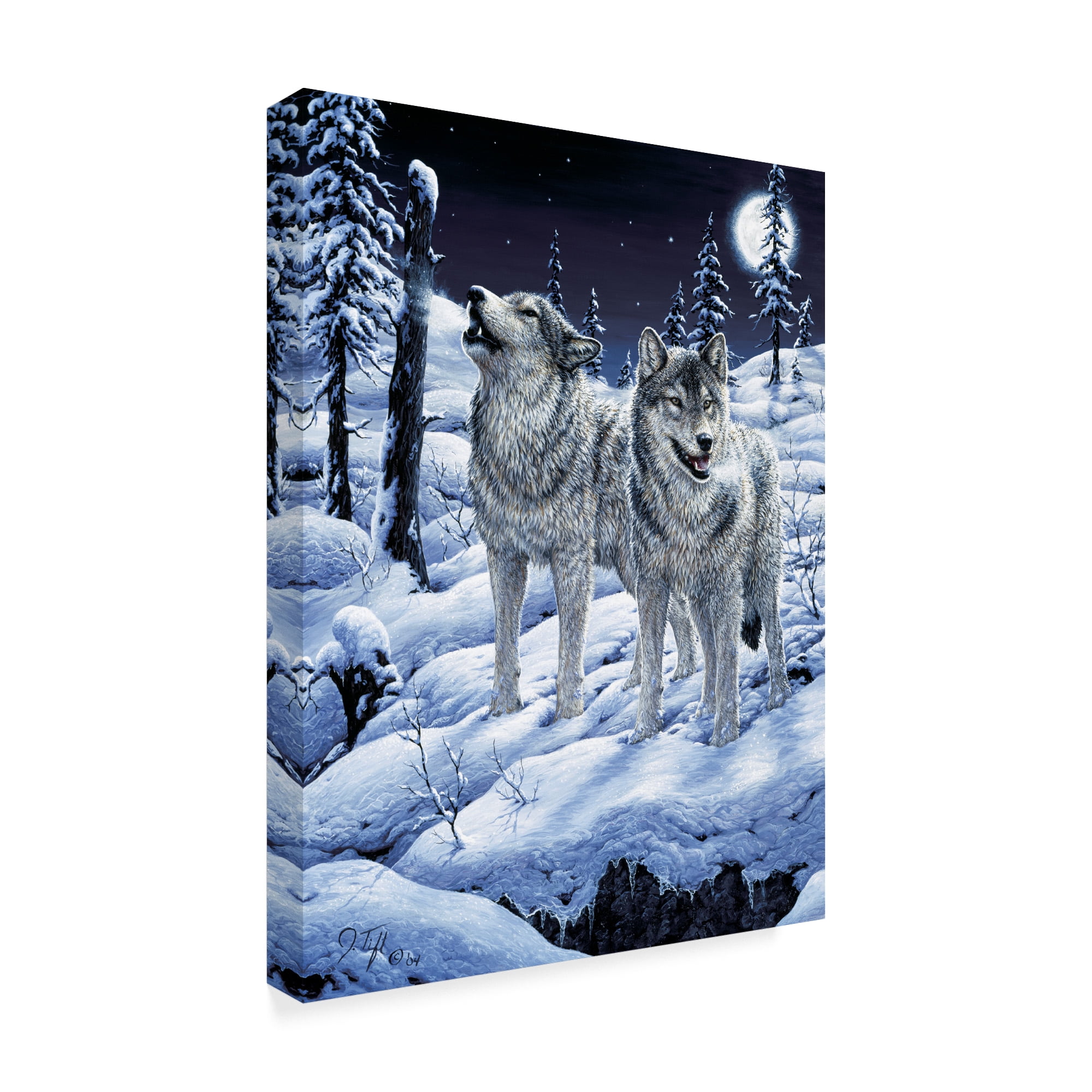Trademark Fine Art 'Lunar Calling' Canvas Art by Jeff Tift
