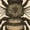 Soft Cream, variant on Women’s “Kind Words Are Like Honey” Proverbs 16:24 Graphic Tee - Faith-Based Christian Honeybee Design-Black-Large