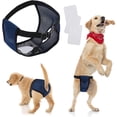 thumbnail image 1 of Serviette Sanitaire pour Chien en Maille, Enveloppe pour Femelle, Enveloppe Lavable, Culottes pour Femelle, Animal de Compagnie, Animal de Compagnie, 1 of 4