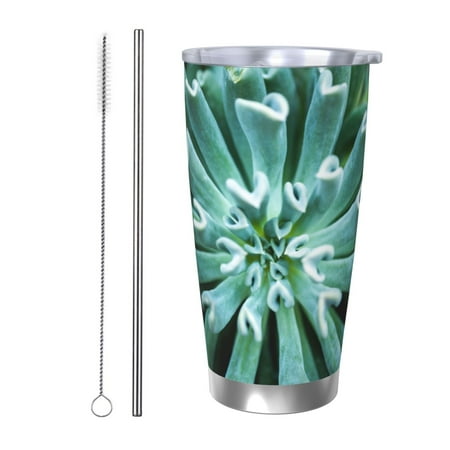 

Qekee Teal Cactus Print 20OZ Car Cup Stainless Steel Vacuum Insulated Tumbler Tumbler Cup With Lid And Straw Travel Coffee Mug-Straw Two-piece Set