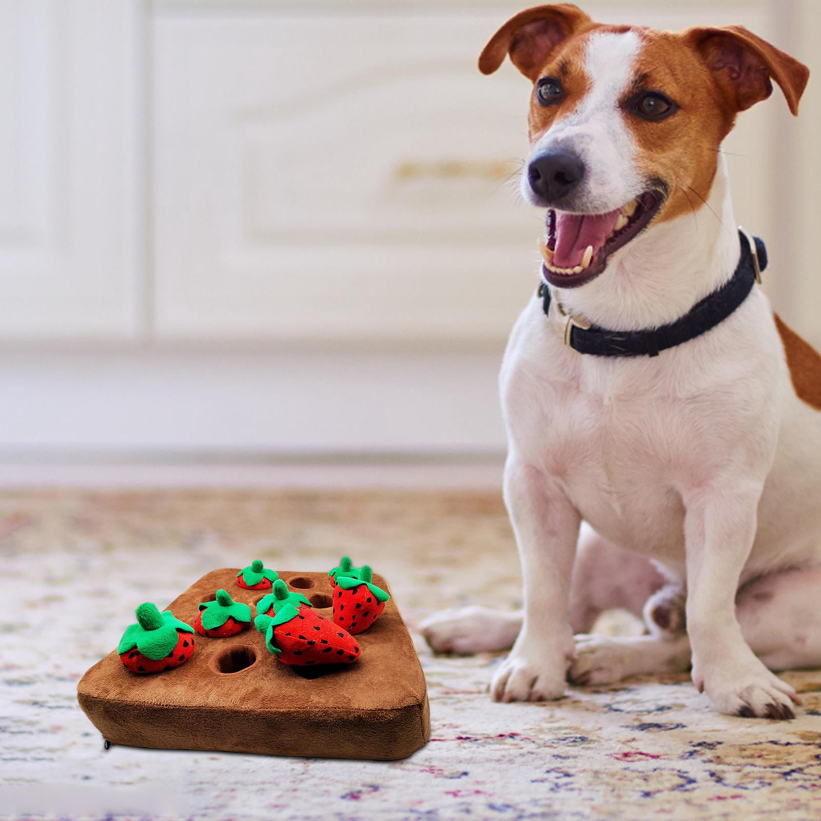 Strawberry Enrichment Dog Puzzle Toys, Hide and Seek Dog Toys, Dog Sniff Mat for