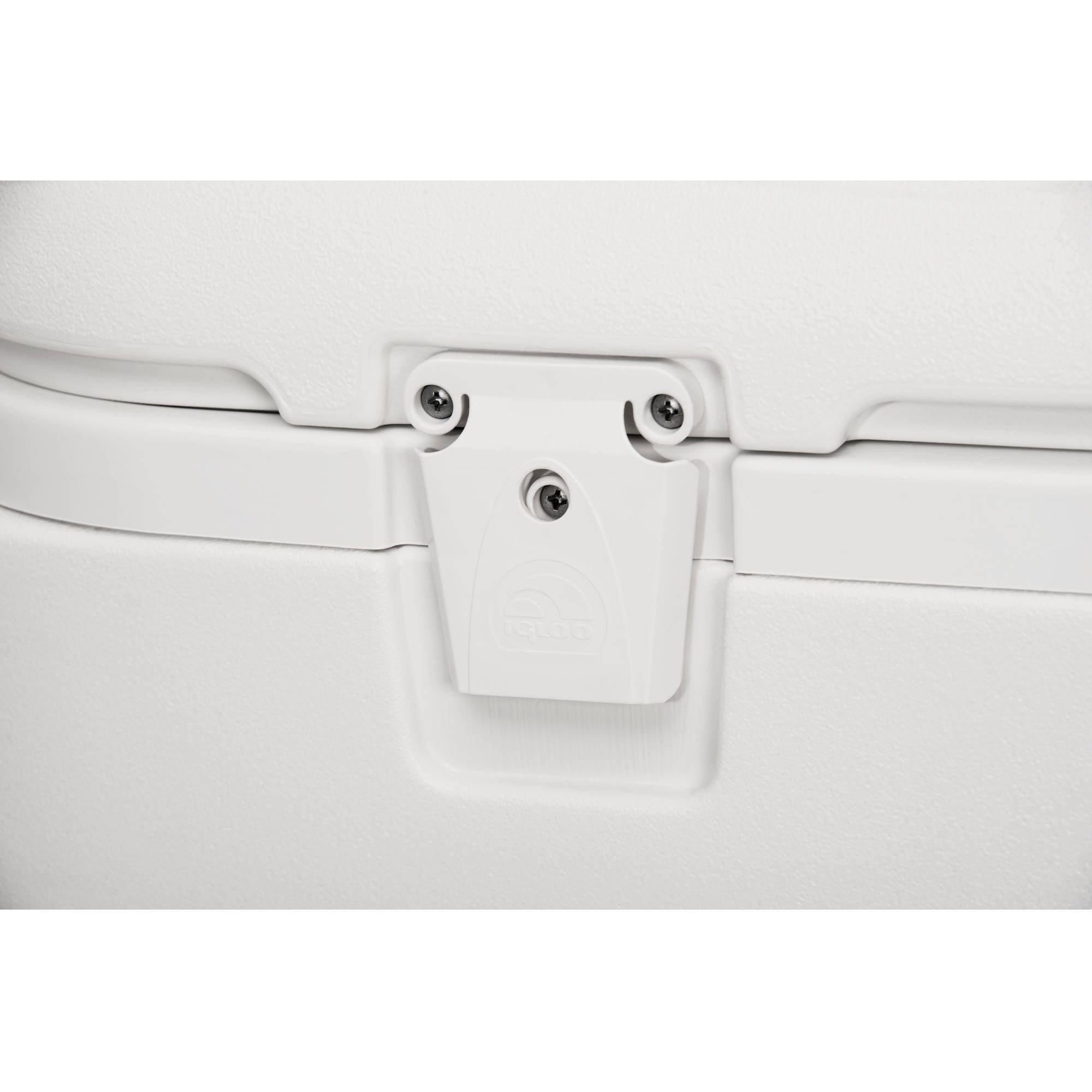 igloo quick and cool 100