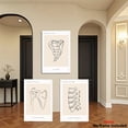 thumbnail image 4 of 3pcs Decorative Artwork, 2D Unframed Canvas Prints, Human Anatomy Art Prints, Medical Wall Art Set, Anatomy Posters, Orthopedic Physician Wall Art Set, Chiropractic Therapy Posters, Clinic Decor., 4 of 4