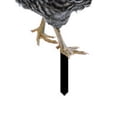 thumbnail image 4 of 3D Chicken Garden Insert Decor, Acrylic Hen Silhouette Chicken Yard Stake Decor Ornament for Outdoor Backyard Decorations, 4 of 6