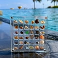 thumbnail image 6 of Shell Storage Box Mini Conch Micro Shell Specimen Collection Height Transparent Box Acrylic Storage, 6 of 7