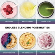 Ninja Detect Duo 72-Oz Blender, 3 Speeds, Smoothies, Crush, Chop, BlendSense Technology, 1700PW, TB300 Silver