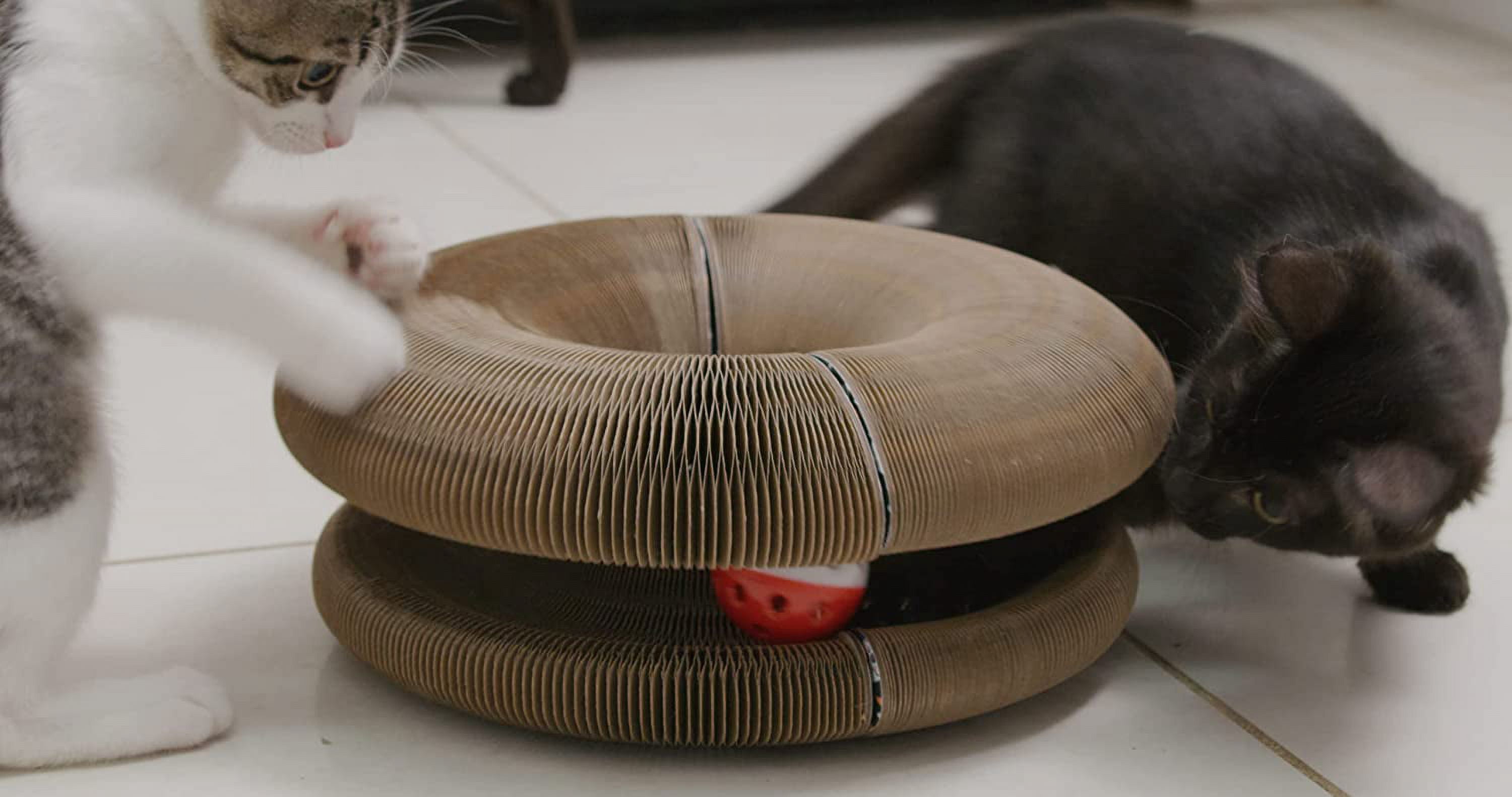 PAWtastic Kitty Round N Round Foldable Cat Toy, Made with Recycled Carboard