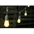 thumbnail image 2 of Commercial String Lights Commercial Edison Drop String Lights 48 Foot White Wire White, 2 of 2