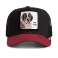 thumbnail image 1 of GOORIN Gorra trucker unisex - Gorra, parche frontal, talla única The Top Dog, 1 of 7