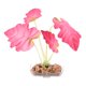thumbnail image 1 of Uxcell 1-Pack Planta de Acuario, Pequeña Planta Artificial de Plástico, Accesorios de Hierba de Agua para Decoración de Acuarios [Estilo 3, Rosa], 1 of 7