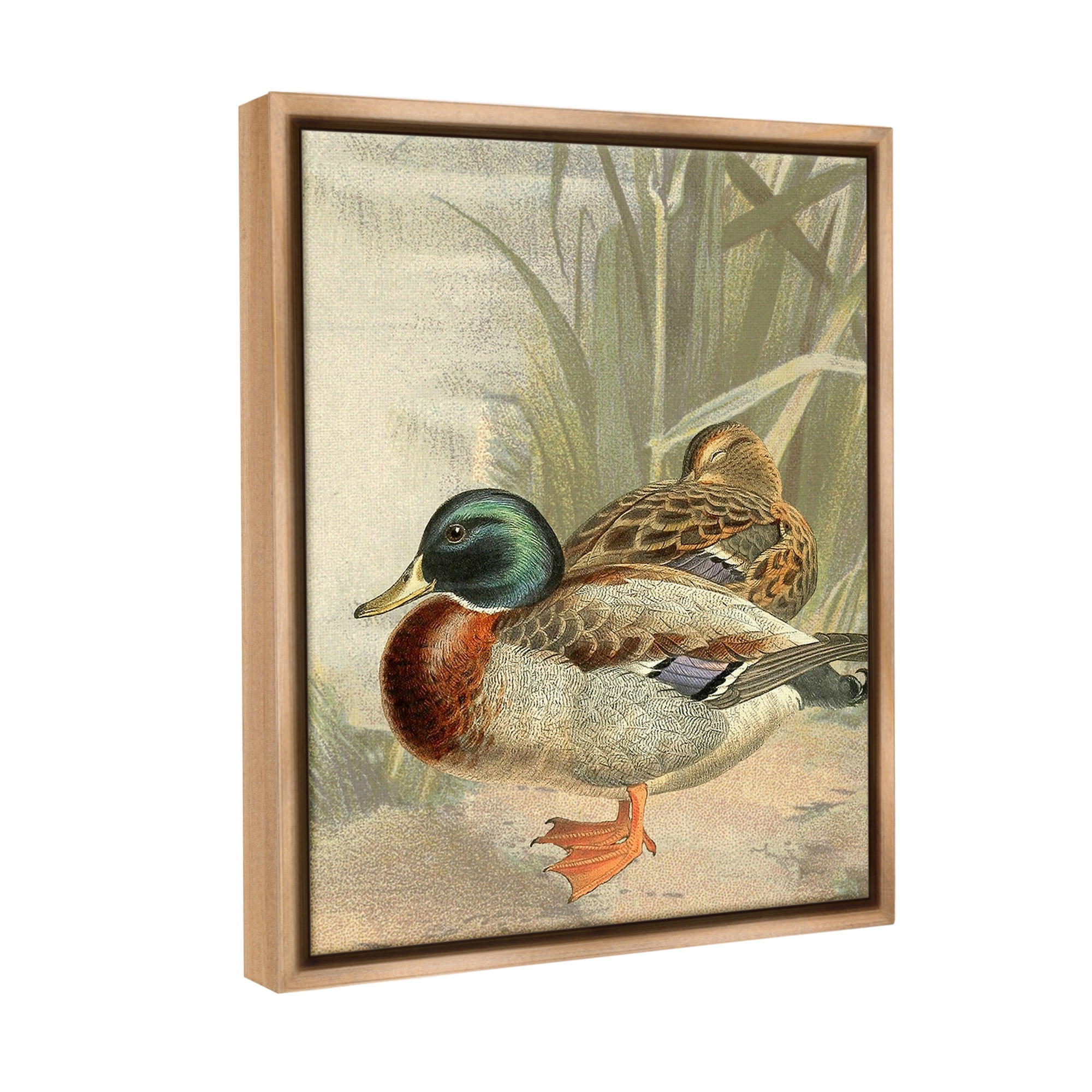 Stupell Industries Pond Ducks Relaxing Animals & Insects Painting Brown Floater Framed Canvas Art Print Wall Art, 25 x 31