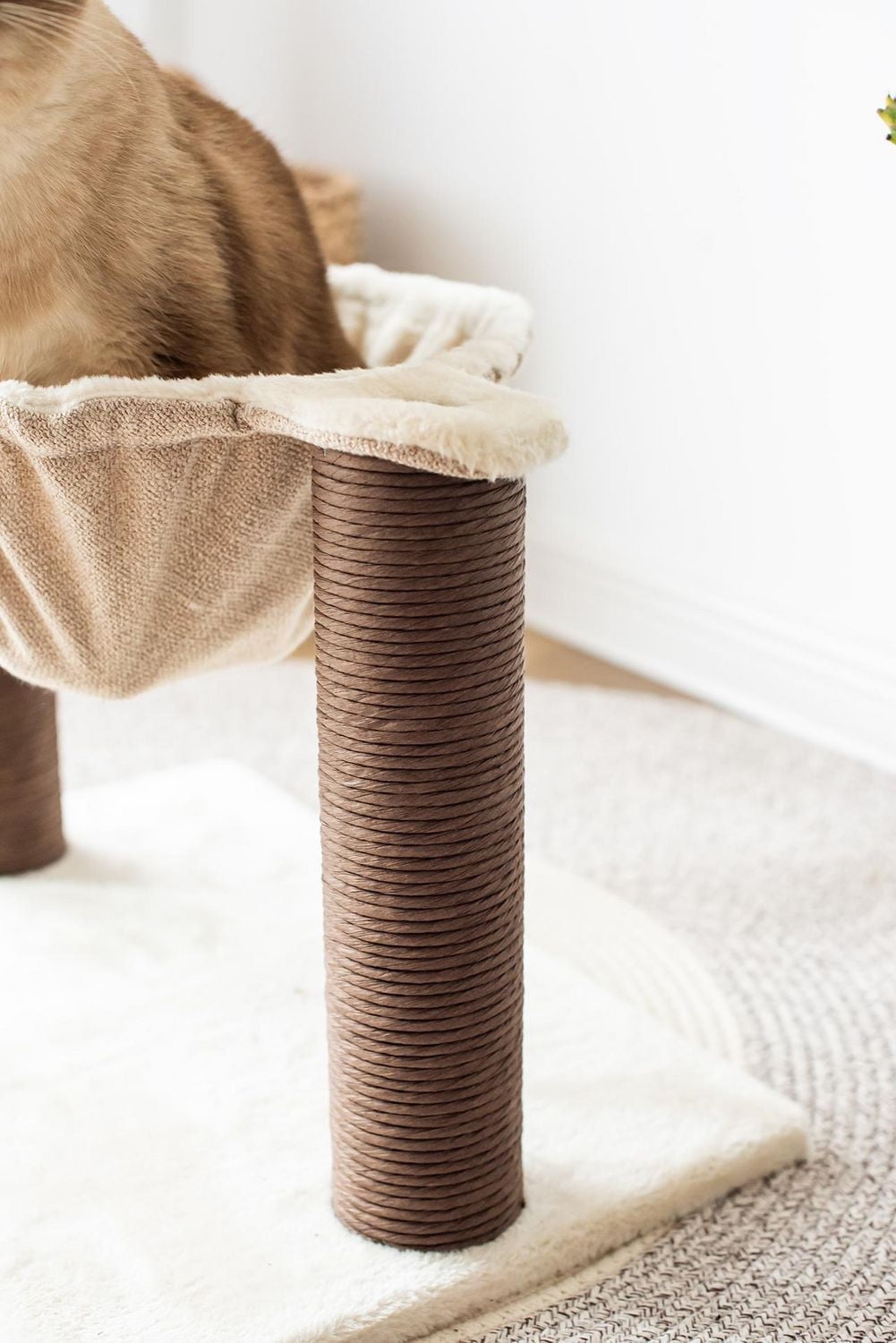 Catry Nirvana Tour pour chat avec hamac et griffoir