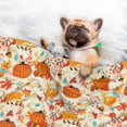 thumbnail image 3 of Pofeuu Pumpkin Fall Pears Print Puppy Blanket,Dog Blankets,Pet Blanket Cozy Cat Blankets for Indoor Cats, Fuzzy Pet Blanket for Kitten Doggy Dog Blankets-Small, 3 of 8