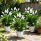 thumbnail image 5 of Macetas artificiales de exterior con plantas y estacas, flores de plástico realistas para paisajismo, decoración de jardín y eventos al aire libre., 5 of 6