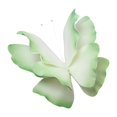 thumbnail image 4 of relayinert Artificial Butterfly 3D 60cm for Wedding DIY Window Decorations Shop Green Display Green 60cm, 4 of 6