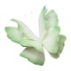 thumbnail image 5 of Adorno de mariposa artificial Macarena para decoración de bodas 60 cm Verde, 5 of 8