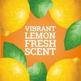 thumbnail image 3 of Pine-Sol Multi-Surface Cleaner/Degreaser Lemon Fresh Scent 80 Fl. Oz. (60607), 3 of 9
