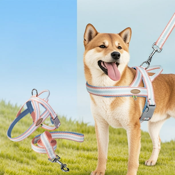 Fiudx Correa Ajustable para Perros, Correas Suaves y Acolchadas para Cuello y Pecho, Agarre Cómodo y Diseño Ligero, Perfecta para Correr y Hacer Senderismo, Aventuras Al Aire Libre para Todas Las Raz