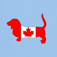 thumbnail image 3 of CafePress - Basset Hound Canadian Flag T Shirt - Light T-Shirt - CP, 3 of 4