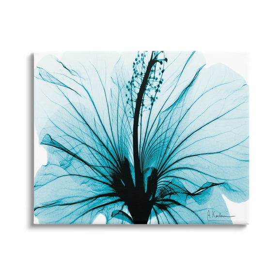 Stupell Industries Blue Flower X-Ray Botanical & Floral Photography Gallery Wrapped Canvas Print Wall Art, 20 x 16