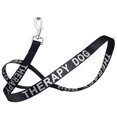 thumbnail image 5 of Dogline Reflective Nylon Leash, 5 of 24
