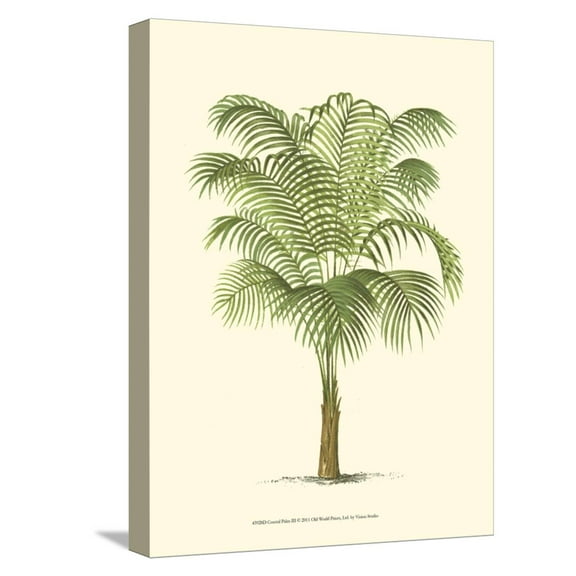 Art.com Coastal Palm III Stretched Canvas Print Wall Art, 12" x 16"