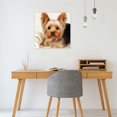thumbnail image 4 of Cuadros Decorativos 5D DIY diamante pintura perro completo cuadrado taladro mosaico Animal imagen Kit pared arte Likrtyny  embutido en tela, 4 of 9