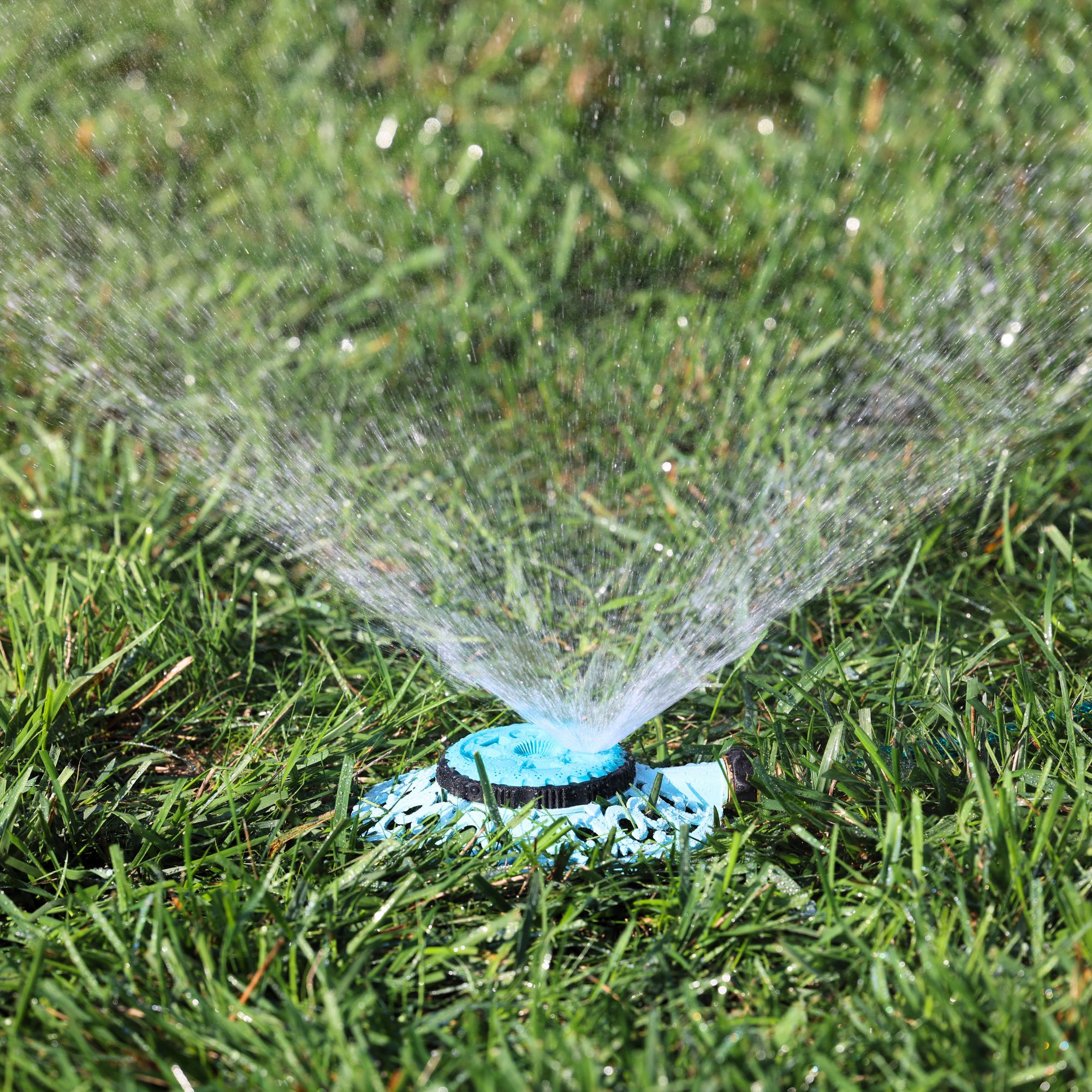 Sprout Metal 8-Pattern Sprinkler in Green