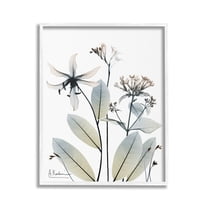 Stupell Industries Minimal Plant Blossoms Botanical & Floral Photography White Framed Art Print Wall Art, 24 x 30