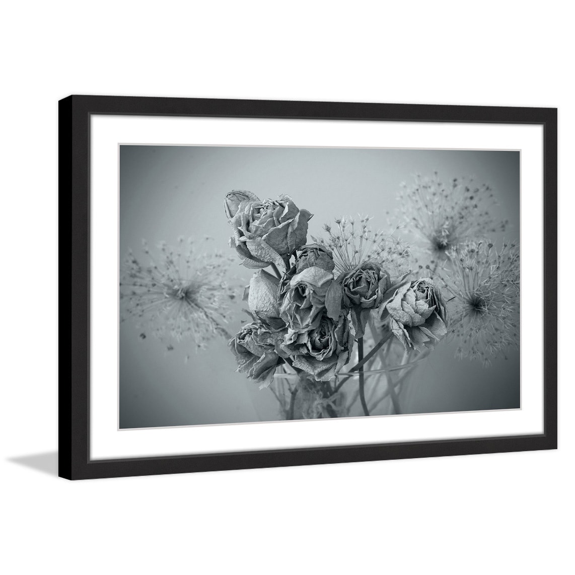 Roses in Slumber Framed Painting Print