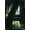 Black Framed Version, variant on Marvel Avengers: Doomsday (2026) - Teaser One Sheet Wall Poster, 22.375" x 34"