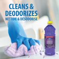 thumbnail image 2 of Great Value All Purpose Concentrated Cleaner and Disinfectant, Lavender Scent, 1.4L, 2 of 4