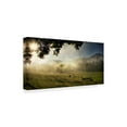 thumbnail image 2 of Trademark Fine Art 'Running in the Mist' Canvas Art by Danny Head, 2 of 4