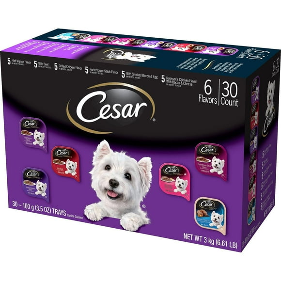 Cesar Dog Food Packs